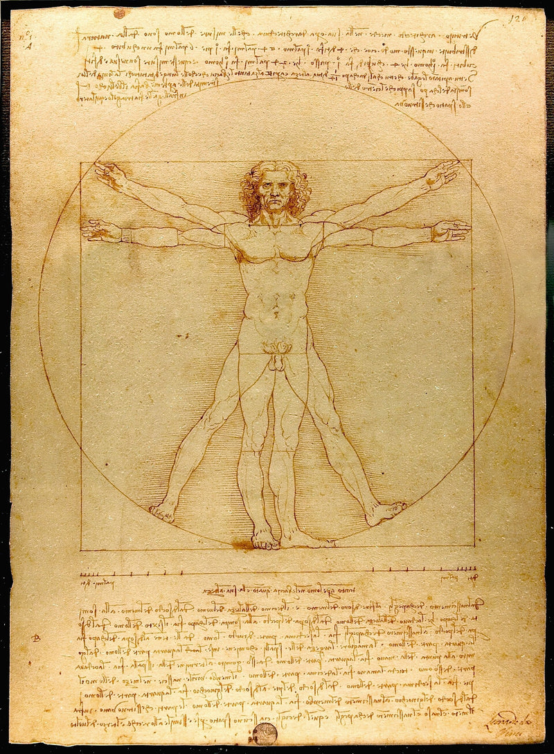 La Renaissance française (1494-1547) : l'éblouissement italianisant — Vitruvian Man (Wikimedia Commons / Public domain, Leonardo da Vinci)