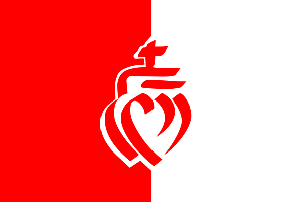 Le drapeau vendéen : histoire et signification