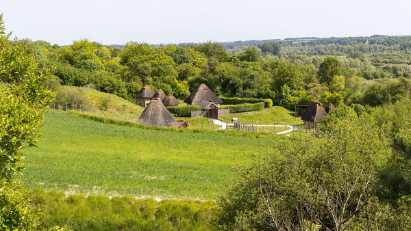 Allonnes : le sanctuaire gaulois qui a survécu à sa ville