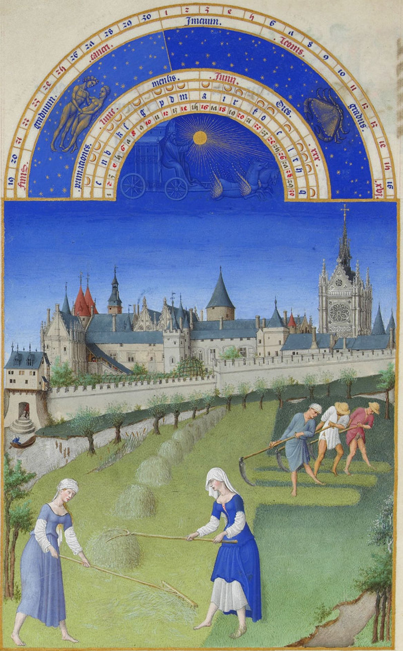 Le Moyen Âge en France : mille ans d'histoire, du baptême de Clovis à la fin de la guerre de Cent Ans
