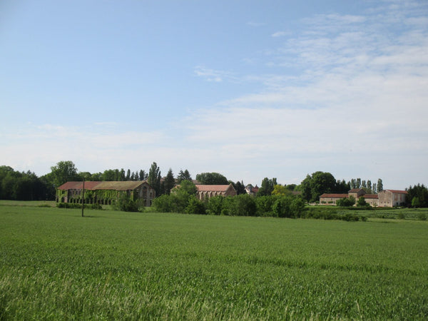 Vue extérieure de l'abbaye de Cîteaux