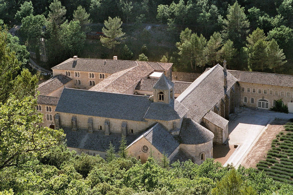Vue iconique de l'abbaye de Sénanque entourée de champs de lavande