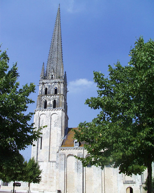 Abbaye de Saint-Savin-sur-Gartempe — vue extérieure
