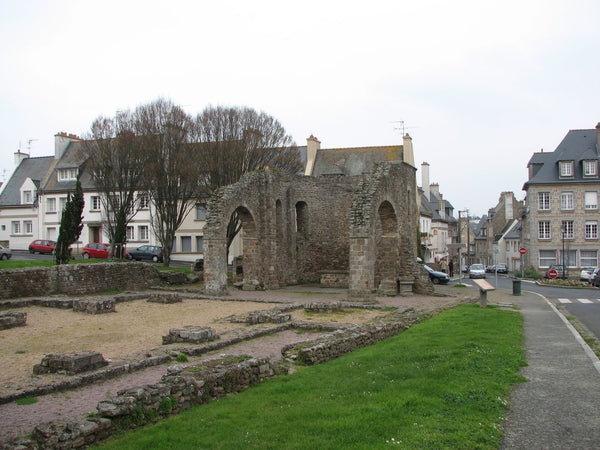 Vestiges de la cathédrale Saint-Pierre d'Aleth
