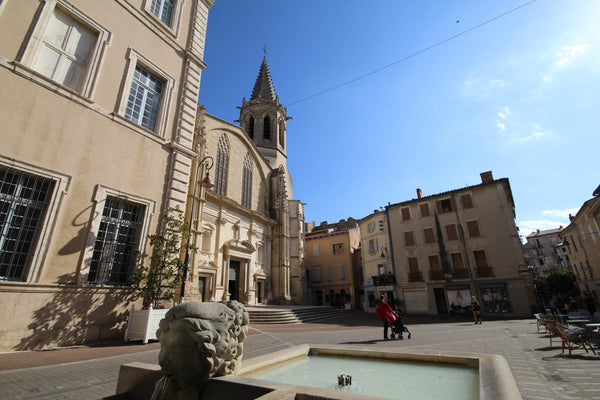 Façade gothique méridionale de la cathédrale Saint-Siffrein de Carpentras avec rose et clocher, pierre calcaire dorée.