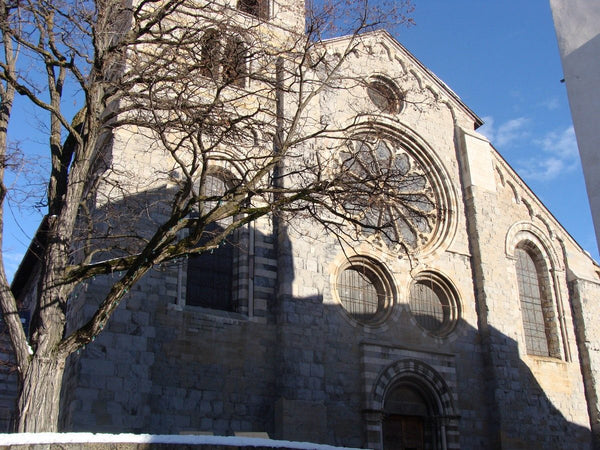 Vue extérieure de la cathédrale Notre-Dame-du-Réal d'Embrun, plus grand édifice religieux des Alpes françaises.