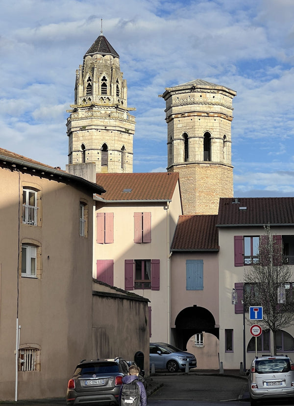 Façade subsistante du Vieux-Saint-Vincent de Mâcon, narthex et deux tours occidentales rescapés de la destruction révolutionnaire de 1799