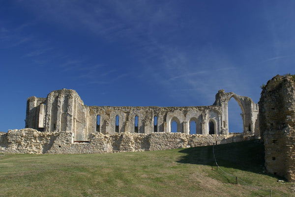 Ruines extérieures de l'ancienne abbaye-cathédrale Saint-Pierre de Maillezais en Vendée.