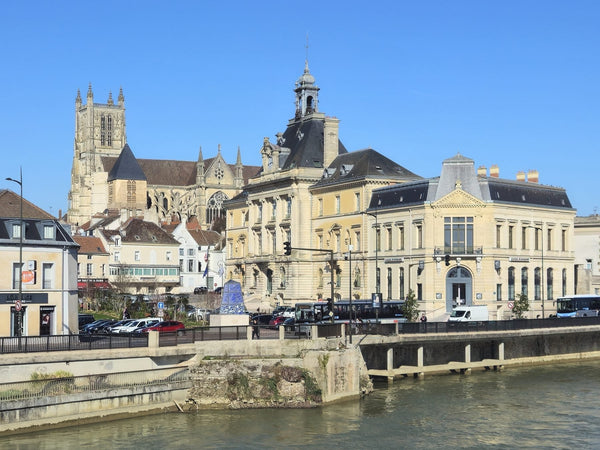 Vue d'ensemble depuis la Marne sur la cathédrale gothique Saint-Étienne de Meaux et l'hôtel de ville