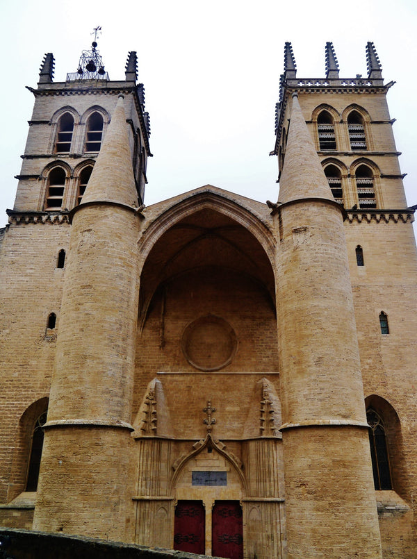 Façade de la cathédrale Saint-Pierre de Montpellier avec ses tours-contreforts cylindriques uniques en France