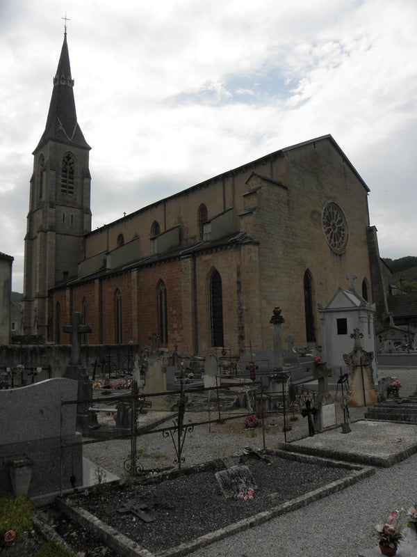 Chevet et flanc sud de la cathédrale Saint-Sauveur de Vabres-l'Abbaye, ancienne abbatiale gothique aveyronnaise.