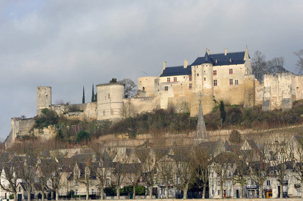Vue panoramique de la forteresse de Chinon depuis la Vienne