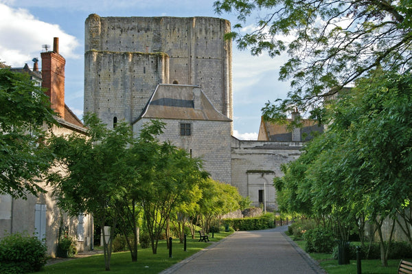 Donjon roman de Loches