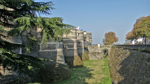 Tours en schiste et calcaire du château d'Angers