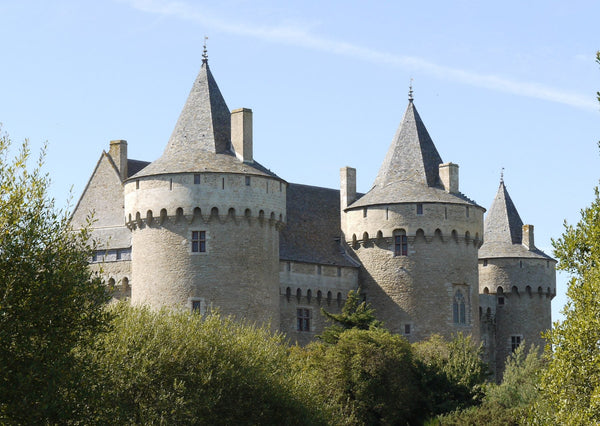 Château de Suscinio à Sarzeau