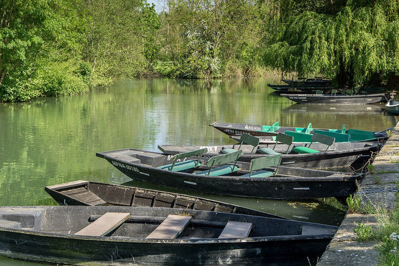 Le Marais poitevin