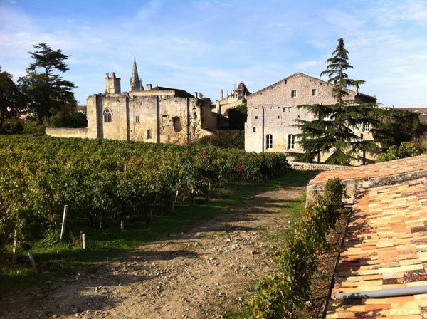 Vignoble Bordeaux AOC